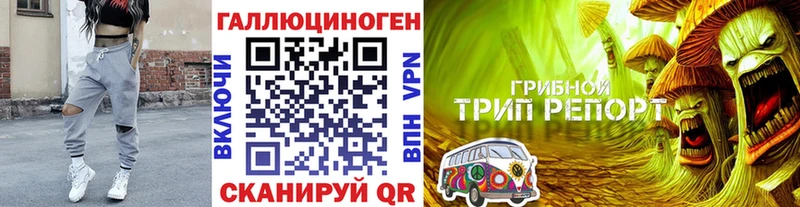 Псилоцибиновые грибы прущие грибы  Лебедянь 